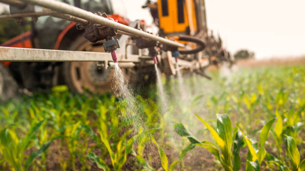 Best Wildlife Control Services  in Weston, OH